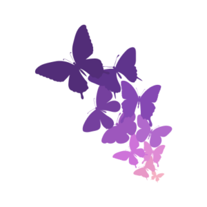 Many different butterflies all together in varying shades of purple.